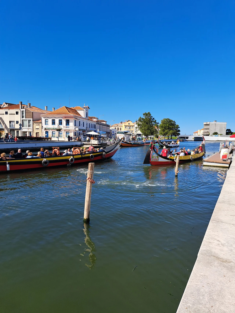 Cover media image